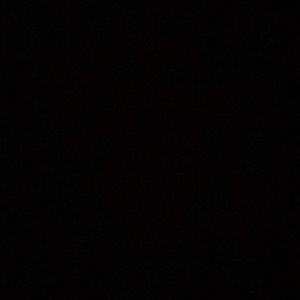 Meet your Posher, Evelyn